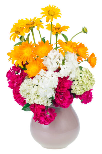 istock Orange white and pink floral colors in ceramic pot isolated 655671784