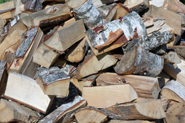 istock Birch firewood for bath heap oudoor shot. Sunny day 655671952