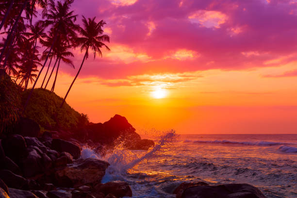 istock Tropical beach at sunset with palm trees silhouettes 655675582