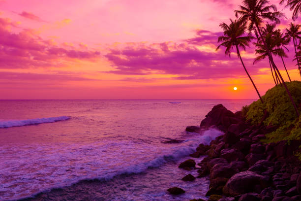 istock Tropical beach at sunset with palm trees silhouettes 655677712