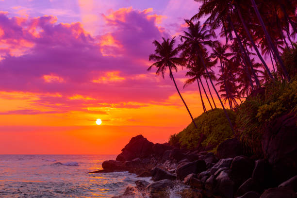 istock Tropical beach at sunset with palm trees silhouettes 655677972