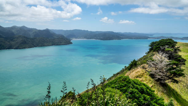 istock Lighthouse, New Zealand 655678364