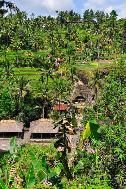 istock Temples around the Gunung Kawi site in Bali, Indonesia 655680832