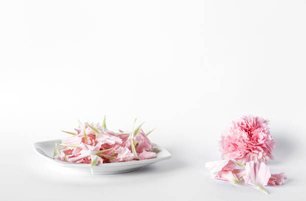 istock Flowers on white background. Flat lay, top view 655692360
