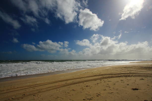 istock Rough Indian Ocean on Scarborough Beach, Australia 655693264