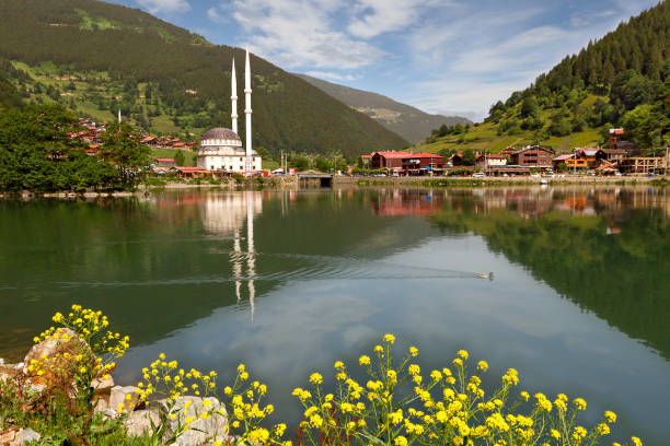 view over the mountain village of uzungol, trabzon, turkey - long imagens e fotografias de stock