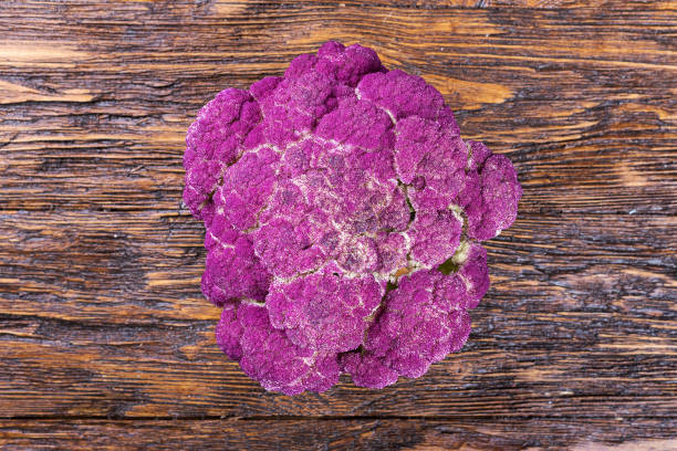 chou violet - purple cauliflower photos et images de collection