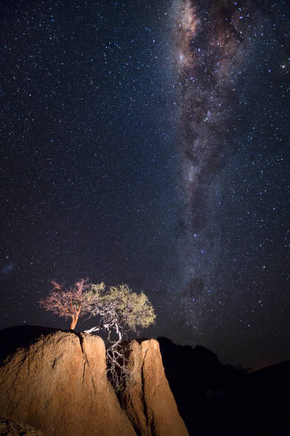 istock Tree  on a rock outcrop under the Milky Way 655711104