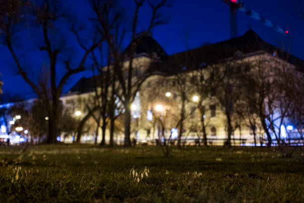 istock Spring in Bucharest - snowdrops in a park in city center 655711416