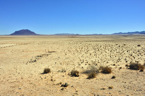 istock Namib desert landscape, Namibia 655711850