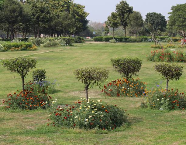 istock Japanese Park, Rohini, New Delhi 655714446