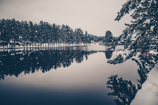 Idyllic Frozen Footpath