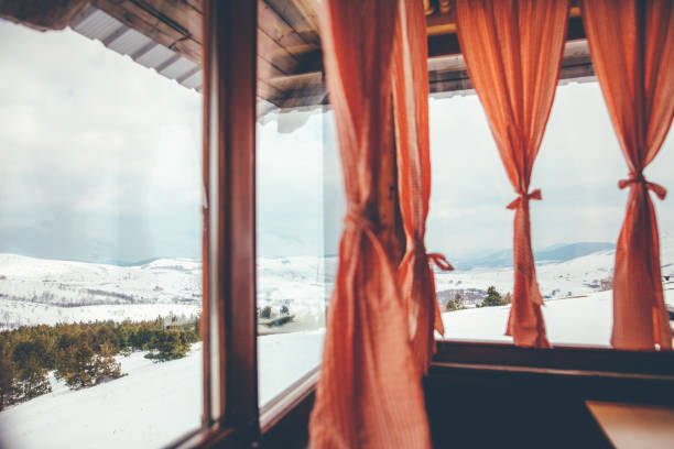 istock View of winter forest from house window 655718220