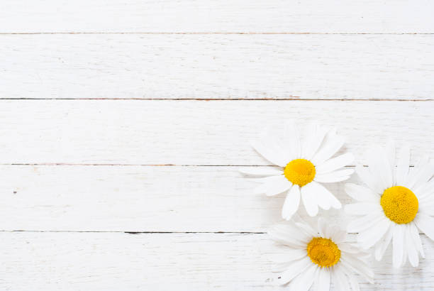 herbal flower on white wood table