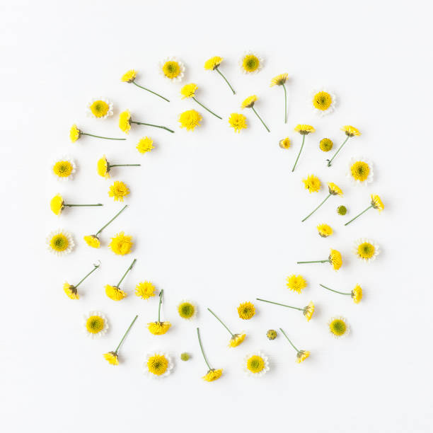 istock Wreath made of various yellow flowers on white background 655721512