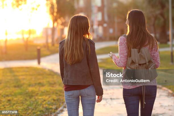 Freunde Die Zusammen Bei Sonnenuntergang Spazieren Stockfoto und mehr Bilder von Gespräch