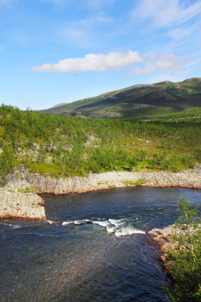 istock Tundra Landscape with trees and river 655721846