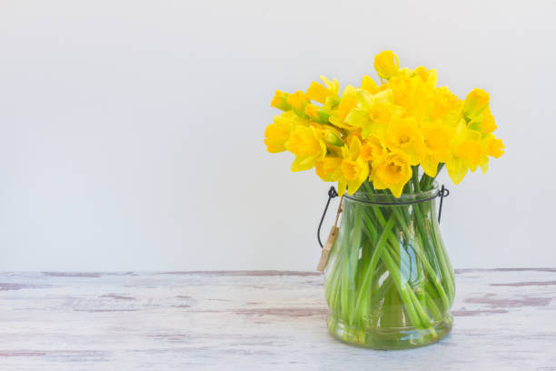 Narcissus in vase Posy of bright yellow daffodils on white wooden table wih copy space narcissus mythological character stock pictures, royalty-free photos & images