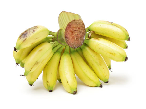 istock Ripe Bananas     Isolated on White Background 655737468
