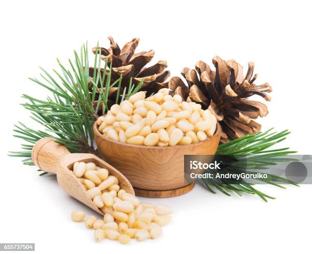 Pine Nuts With Branches And Cones Isolated On White Stock Photo - Download Image Now