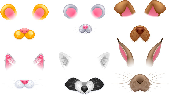 Video chat effects animal faces set. Selfiy filters. Cat, dog, raccoon, rabbit, mouse and teddy bear ears and noses.