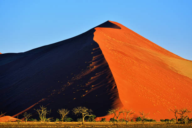 istock Sossusvlei, Namib Naukluft National Park, Namibia 655740980