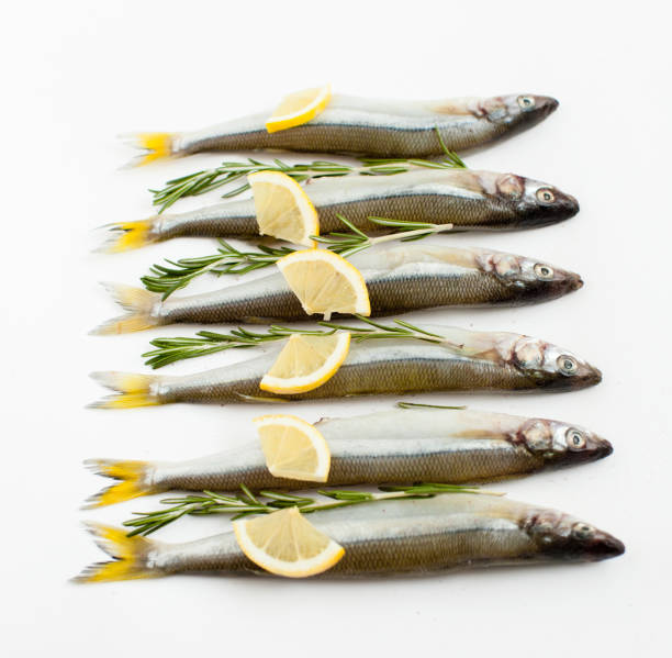 istock Saltwater fish smelt marinated with rosemary and lemon on a white background, cooking, daylight. 655749016