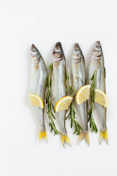 istock Saltwater fish smelt marinated with rosemary and lemon on a white background, cooking, daylight. 655749022