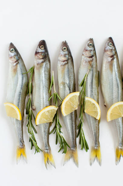 istock Saltwater fish smelt marinated with rosemary and lemon on a white background, cooking, daylight. 655749090