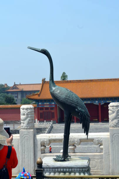 eine bronze kran-status in der verbotenen stadt in peking china - ming china forbidden city emperor stock-fotos und bilder