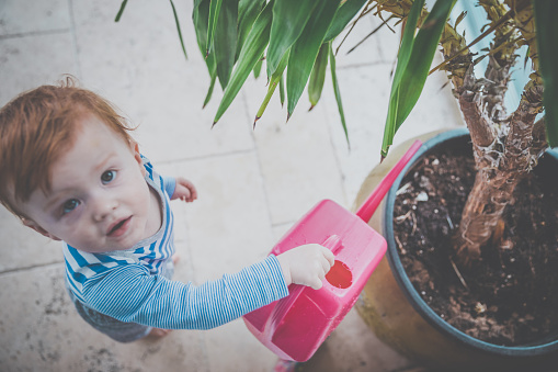 Little Baby Boy Watering Plants at Home