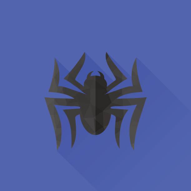 Spider Grey Silhouette. Long Shadow Spider Grey Silhouette Isolated on Blue Background. Long Shadow blue tarantula stock illustrations