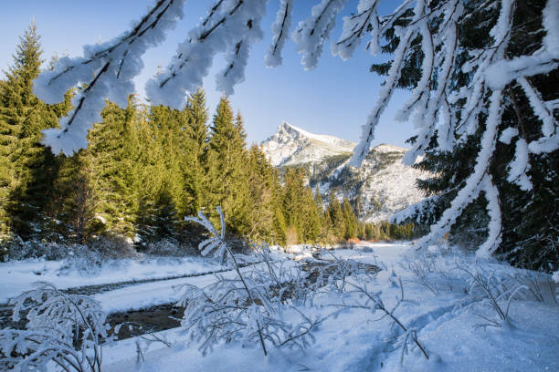 Peak Krivan from koprova valley in High Tatras mountains, Slovakia