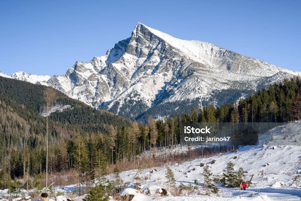 Peak Krivan in High Tatras, Slovakia Snowy peak Krivan in High Tatras mountains, Slovakia Blue Stock Photo