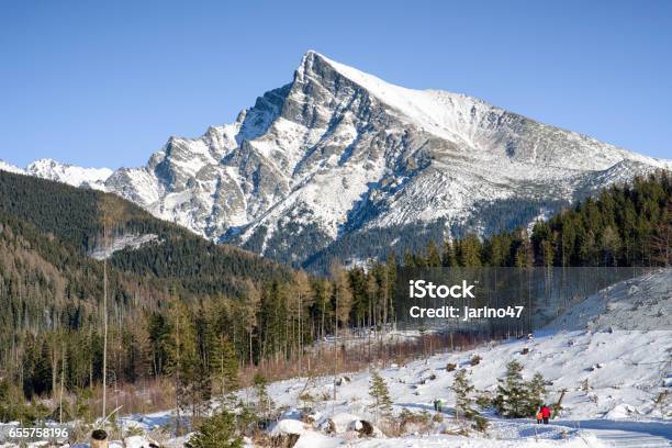 Peak Krivan In High Tatras Slovakia Stock Photo - Download Image Now - Blue, Forest, Hill