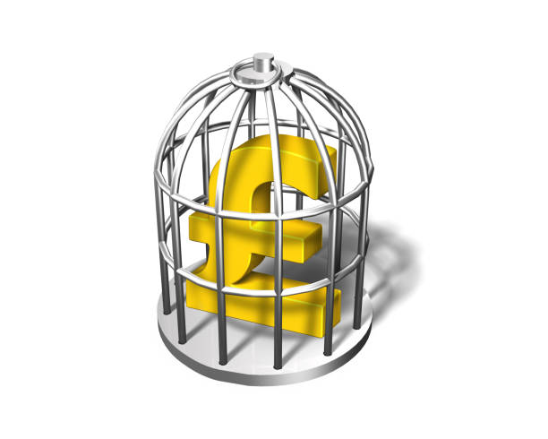 istock Golden pound symbol in the silver cage, 3D illustration 655758622
