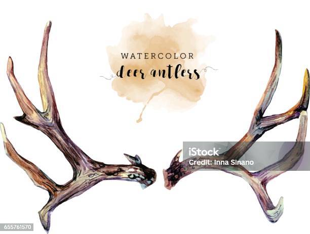 Watercolor Deer Antlers Stock Illustration - Download Image Now - Antler, Deer, Watercolor Painting