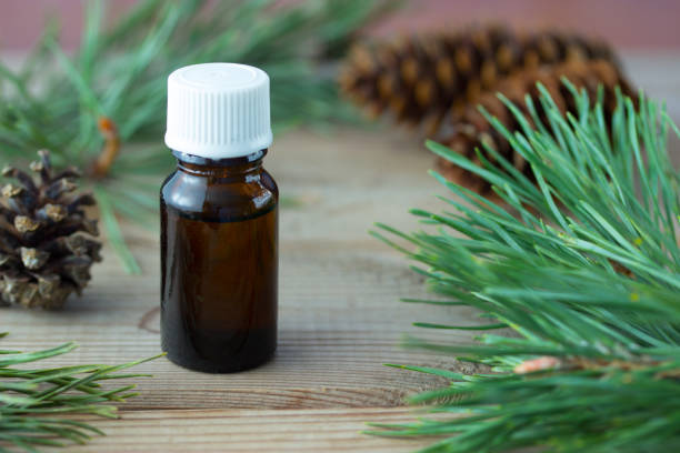 istock Bottle of pine essential oil 655762232
