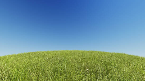 istock Realistic grassy hill on a background of pure blue sky 3D rendering 655771010