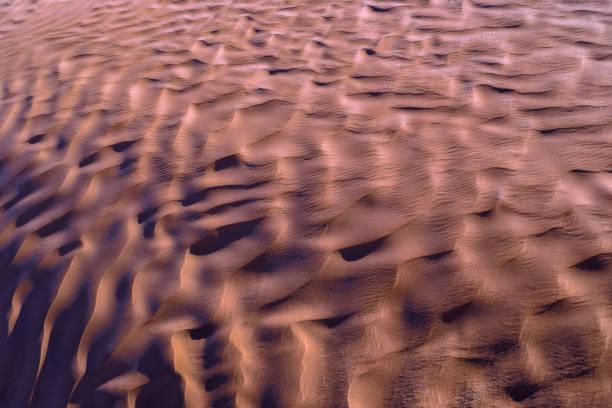 istock Sahara Desert Texture, Wallpaper and Background 655771548