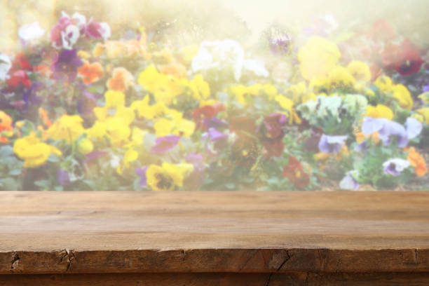 istock Empty table in front of spring beautiful field flowers background 655771754