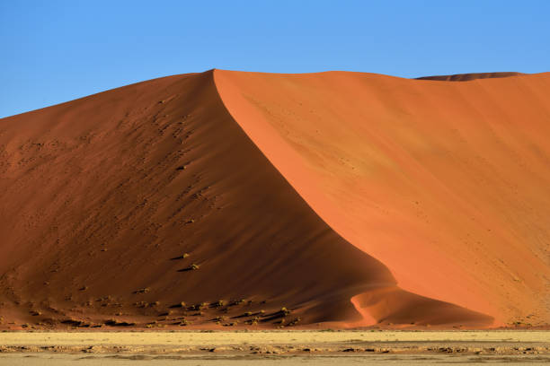 istock Sossusvlei, Namib Naukluft National Park, Namibia 655773038