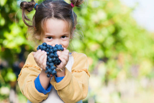 adore passer du temps en famille - winemaking grape harvesting crop photos et images de collection