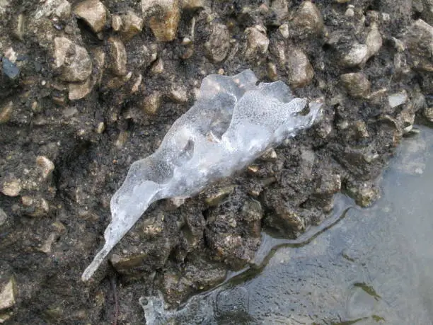 ice formation that resembles a curled up leaf