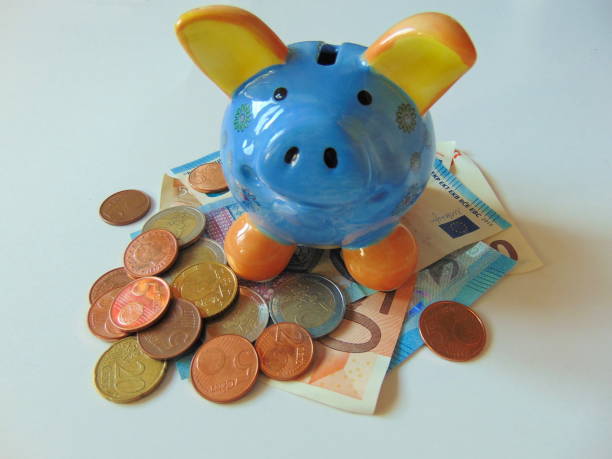 istock piggy bank with money 655781948