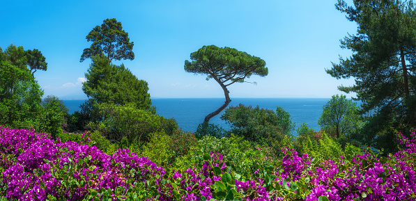 Gardens of Naples. View on Mediterranean sea. The province of Campania. Italy.