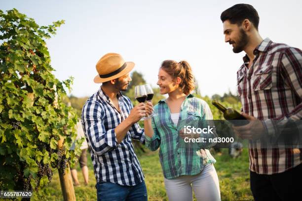 Happy Wine Tourists Tasting Wine In Vineyard Stock Photo - Download Image Now - Wine, Vineyard, Tourism