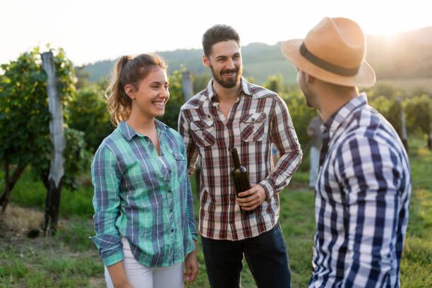 istock Happy people tasting wine in vineyard 655794942