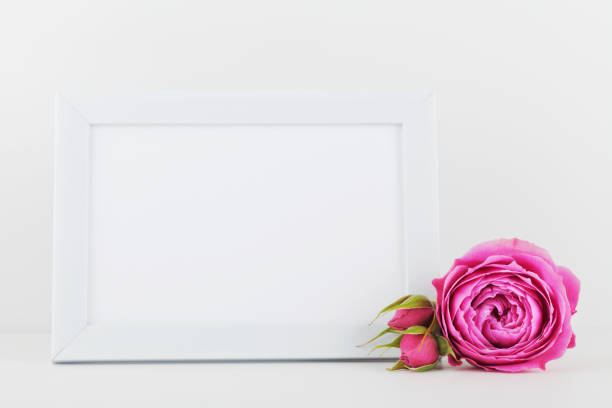 istock Picture frame decorated rose flower. Mockup for web design. Copy space fo text. 655797530