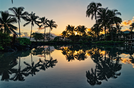 Sunrise in Hawaii